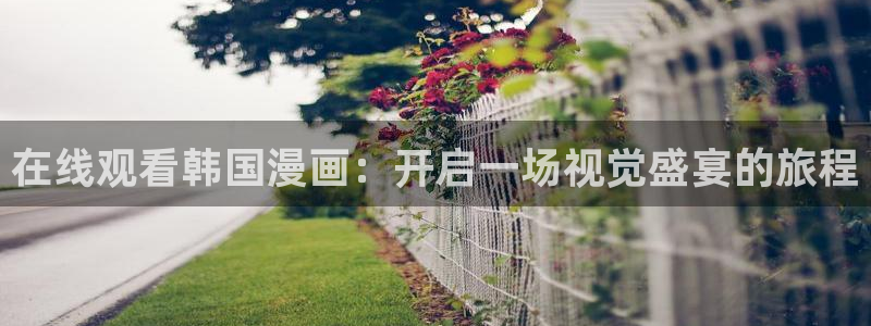 yy漫画首页登录入口页面在哪：在线观看韩国漫画：开启一场视觉盛宴的旅程