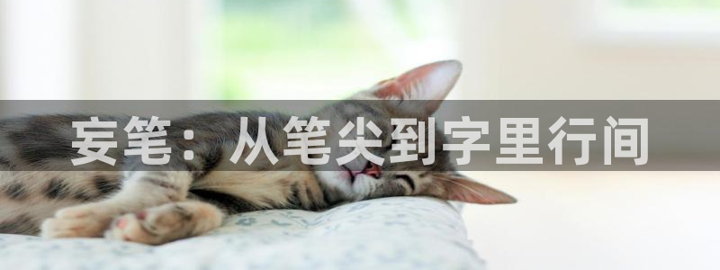 不用阅币看yy漫画
