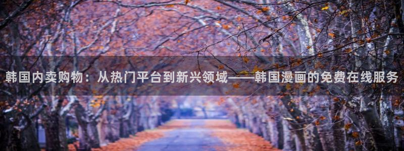 日韩yy漫画：韩国内卖购物：从热门平台到新兴领域——韩国漫画的免费在线服务