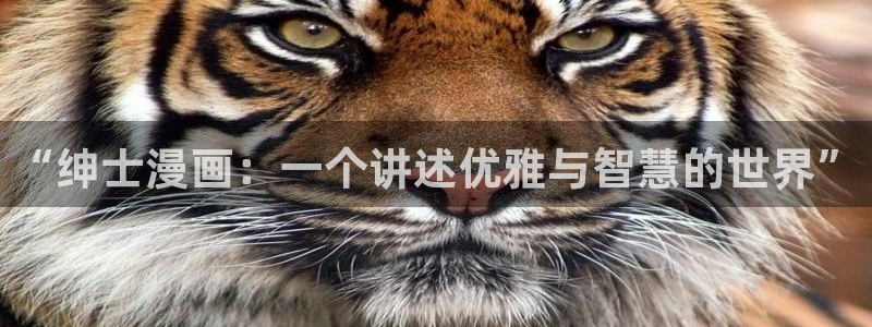 yy漫画免费观看视频：“绅士漫画：一个讲述优雅与智慧的世界”