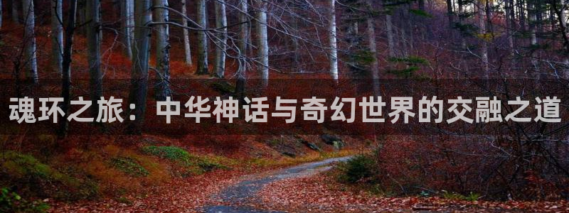 yy漫画首页在线：魂环之旅：中华神话与奇幻世界的交融之道