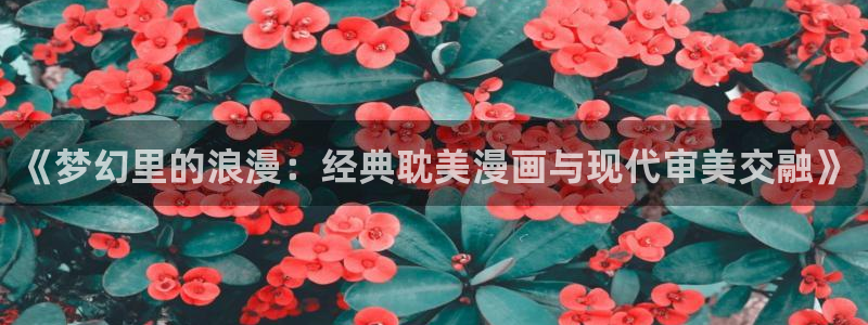 日本yy漫画：《梦幻里的浪漫：经典耽美漫画与现代审美交融》