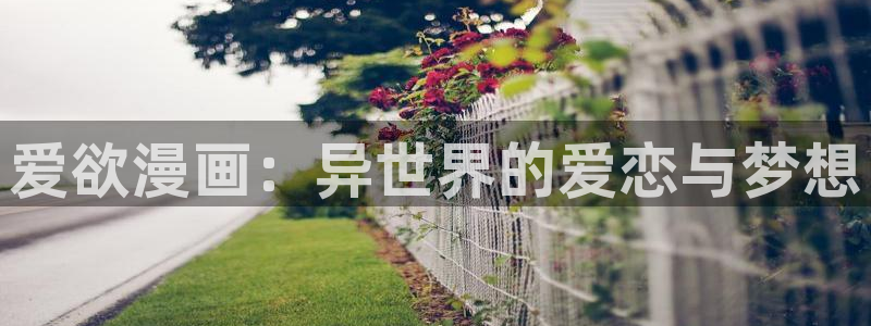 yy漫画破解版无限金币：爱欲漫画：异世界的爱恋与梦想