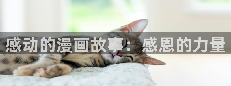 yy漫画免费观看入口