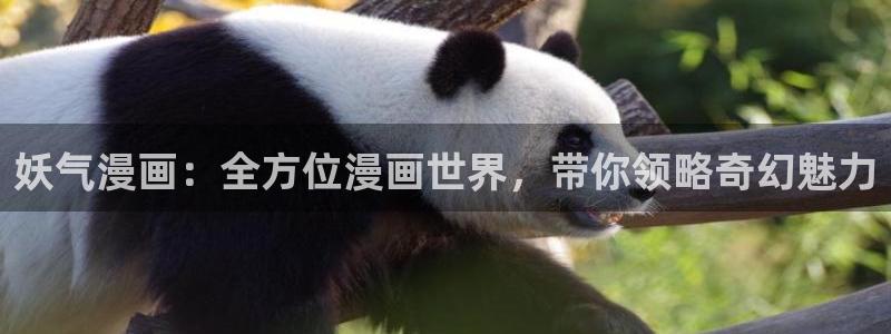 yy漫画现在叫什么